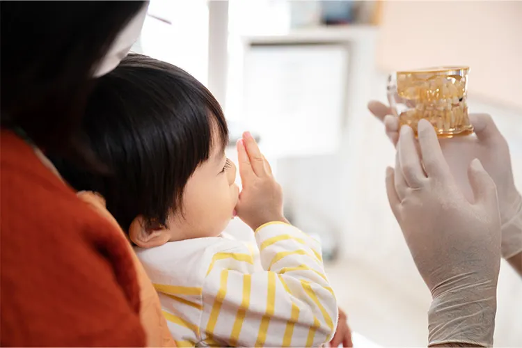 小児矯正の治療ステージ
